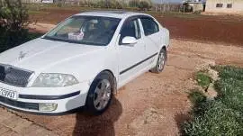 Skoda Octavia 2009, Homs, RF41903141