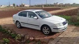 Skoda Octavia 2009, Homs, RF41903141