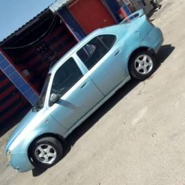 Chana Kalla 2008/2009 for sale