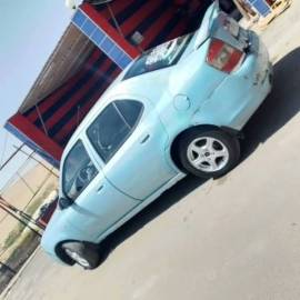 Chana Kalla 2008/2009 for sale