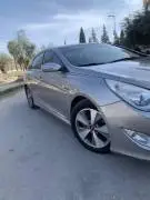 سوناتا 2012 وارد كوري, حماة