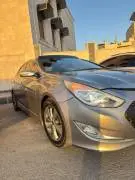 سوناتا 2012 وارد كوري, حماة