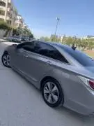 سوناتا 2012 وارد كوري, حماة