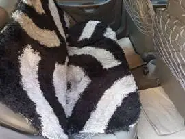 Honda Accent 2000 for sale, Hama