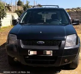 Ford Focus 2007, Homs
