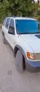 Kia Sportage 2001, Homs