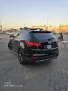 DM 2013 in agency condition