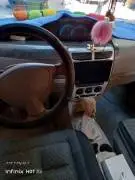 شيري 2007