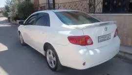 تويوتا كورولا 2009, حماة
