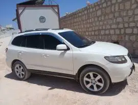 2006 CM Kart, Aleppo