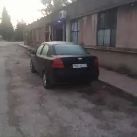 شفر افيو 2008