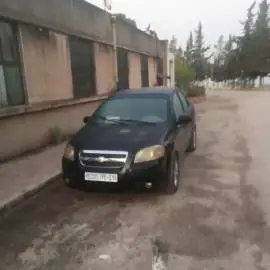 شفر افيو 2008