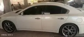 Nissan Maxima 2010 for sale