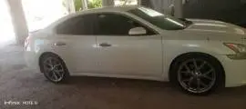 Nissan Maxima 2010 for sale