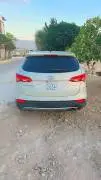 دي ام 2014 مازوت