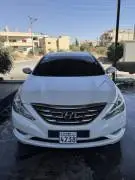 Hyundai Sonata 2011, Hama