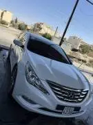 Hyundai Sonata 2011, Hama
