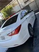 Hyundai Sonata 2011, Hama