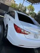 Hyundai Sonata 2011, Hama