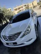 Hyundai Sonata 2011, Hama