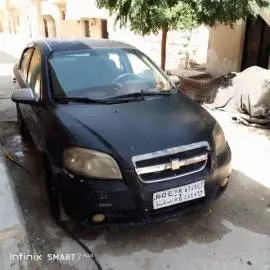 شفر افيو 2000 للبيع