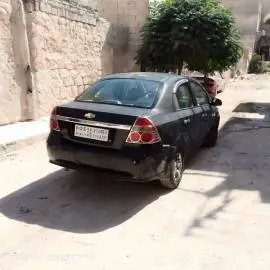 شفر افيو 2000 للبيع