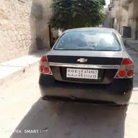 شفر افيو 2000 للبيع