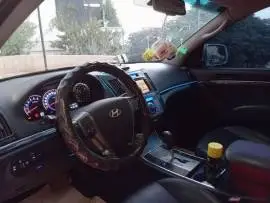 فيرا كروز 2008 أوروبية