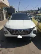 هيونداي توسان 2022, حلب