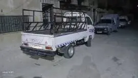 فاو كرت 2004, حماة