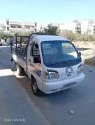 فاو كرت 2004, حماة