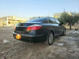جنسس 2010, حلب