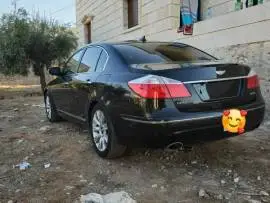 جنسس 2010, حلب