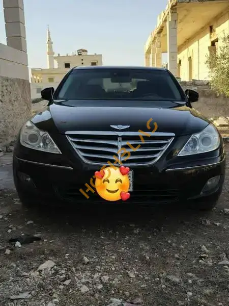 جنسس 2010, حلب