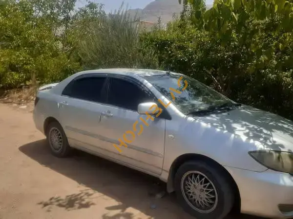 بي واي دي كرته 2006, دمشق