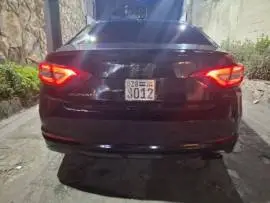 سوناتا 2015, دمشق