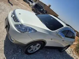 فيرا كروز 2009, حلب