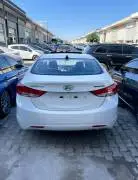 Hyundai Elantra 2012, Homs