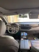 شيري تيجو 2020, دمشق