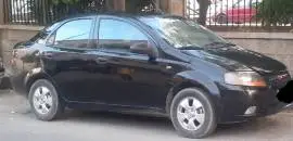 شفر افيو 2006