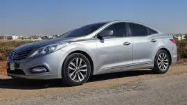 أزيرا 2011 وارد كوري, حماة