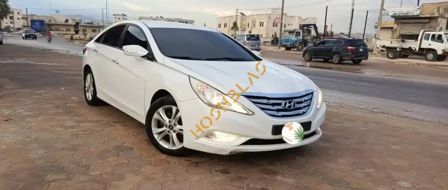 Hyundai Sonata 2011