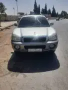 Hyundai Santa Fe 2004, Hama