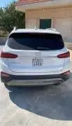 Hyundai Santa Fe 2020, Homs