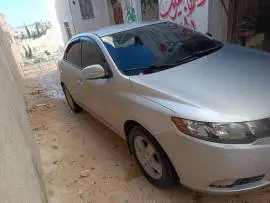 Kia Forte 2009, Hama