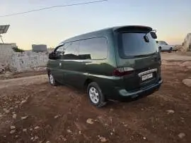 ستاركس 2000, حماة