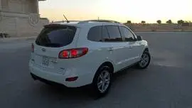 Hyundai CM 2010, Hama