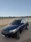 Hyundai Santa Fe 2007, Hama