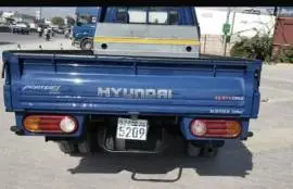 European Porter 2011