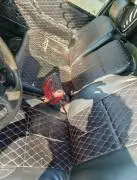 هونداي 96, إدلب